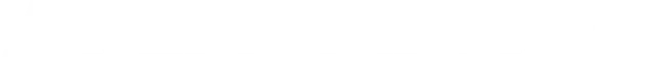 FlashPass